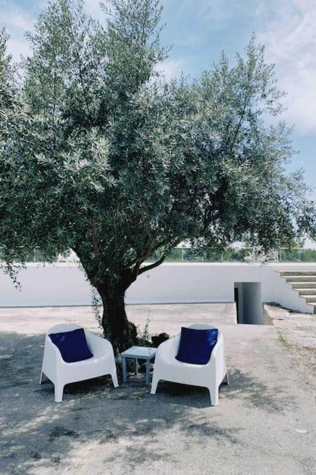 Casa Da Oliveira Βίλα Nelas Εξωτερικό φωτογραφία
