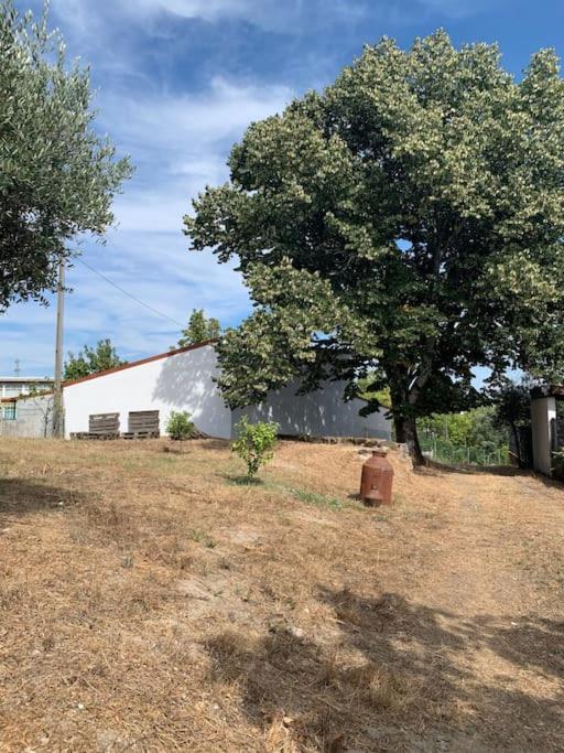 Casa Da Oliveira Βίλα Nelas Εξωτερικό φωτογραφία