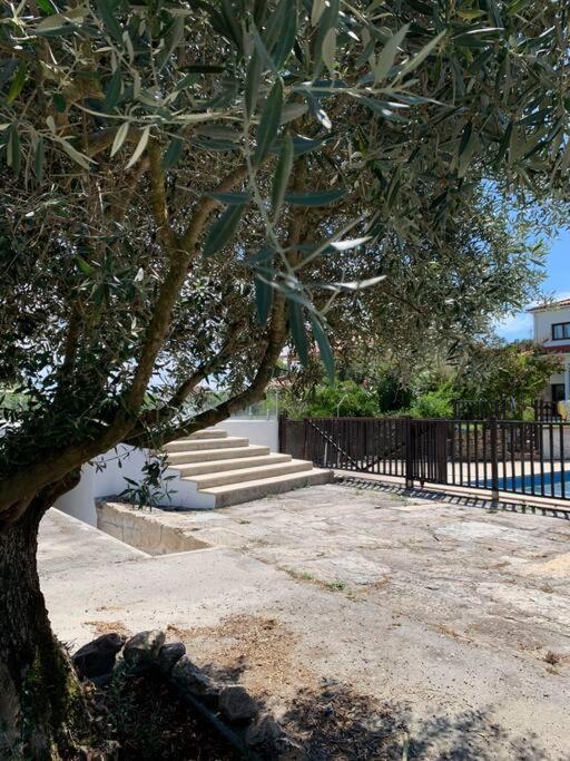 Casa Da Oliveira Βίλα Nelas Εξωτερικό φωτογραφία